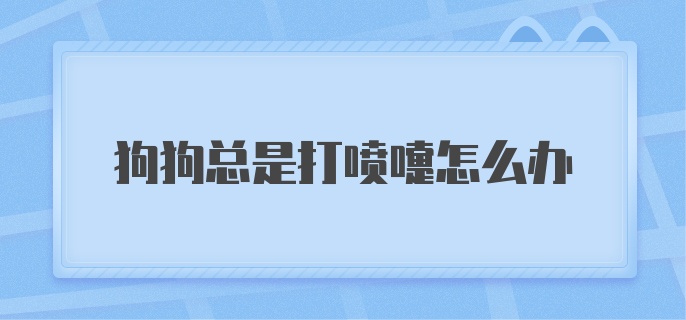 狗狗总是打喷嚏怎么办