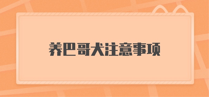 养巴哥犬注意事项