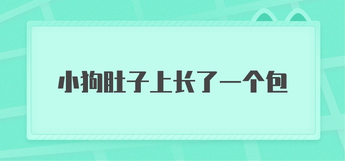 小狗肚子上长了一个包