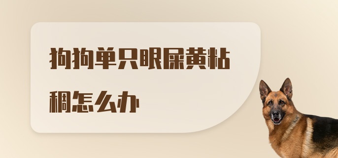 狗狗单只眼屎黄粘稠怎么办