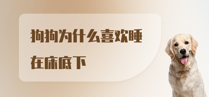 狗狗为什么喜欢睡在床底下