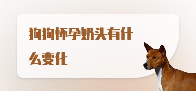 狗狗怀孕奶头有什么变化