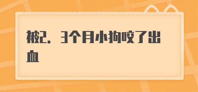 被2.3个月小狗咬了出血