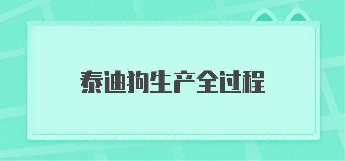 泰迪狗生产全过程