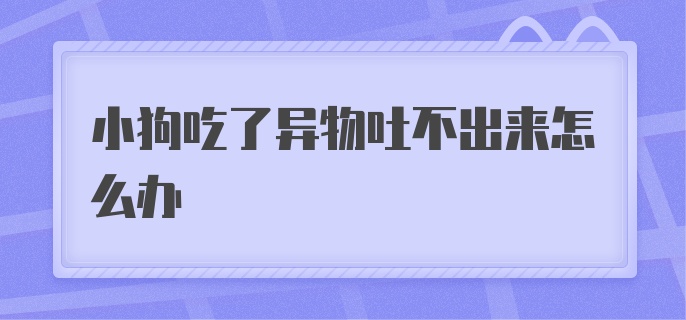 小狗吃了异物吐不出来怎么办