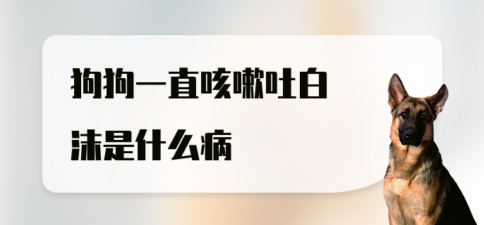 狗狗一直咳嗽吐白沫是什么病