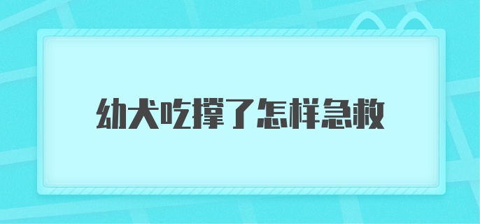 幼犬吃撑了怎样急救