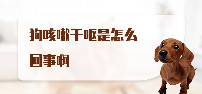 狗咳嗽干呕是怎么回事啊