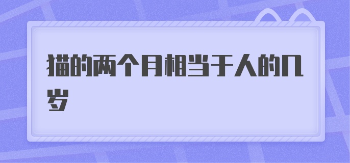 猫的两个月相当于人的几岁