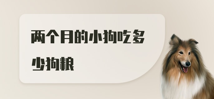 两个月的小狗吃多少狗粮