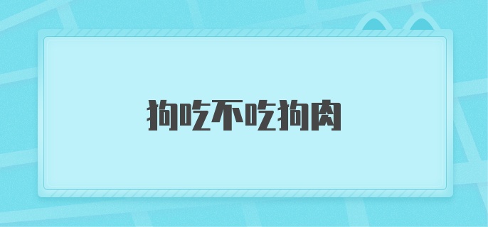 狗吃不吃狗肉