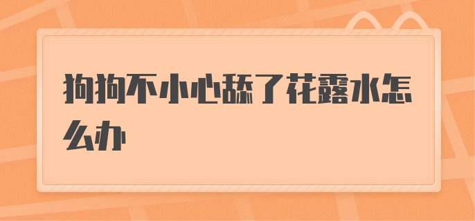 狗狗不小心舔了花露水怎么办