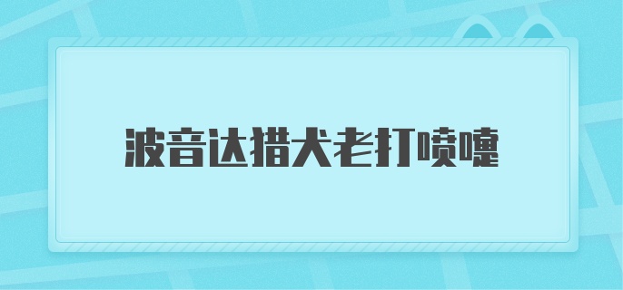 波音达猎犬老打喷嚏