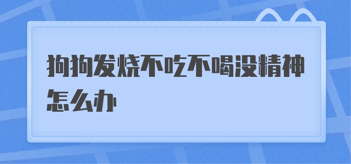 狗狗发烧不吃不喝没精神怎么办