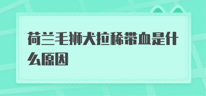 荷兰毛狮犬拉稀带血是什么原因