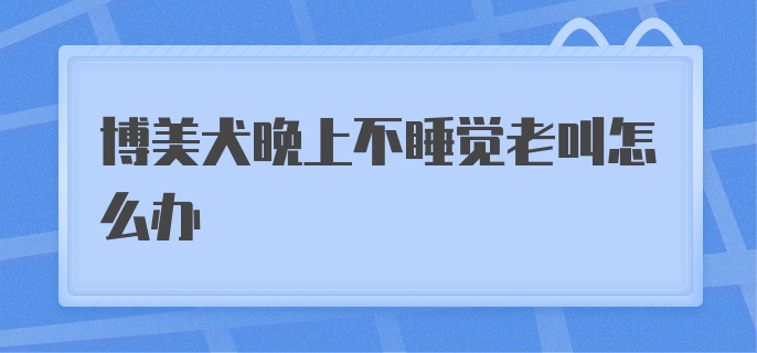 博美犬晚上不睡觉老叫怎么办