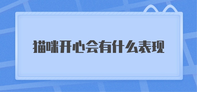 猫咪开心会有什么表现