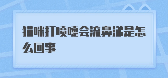 猫咪打喷嚏会流鼻涕是怎么回事