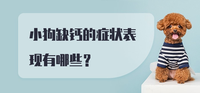 小狗缺钙的症状表现有哪些？