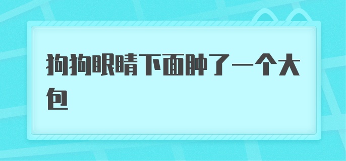 狗狗眼睛下面肿了一个大包