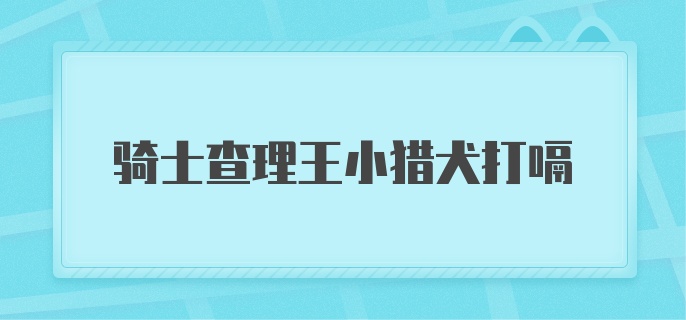 骑士查理王小猎犬打嗝