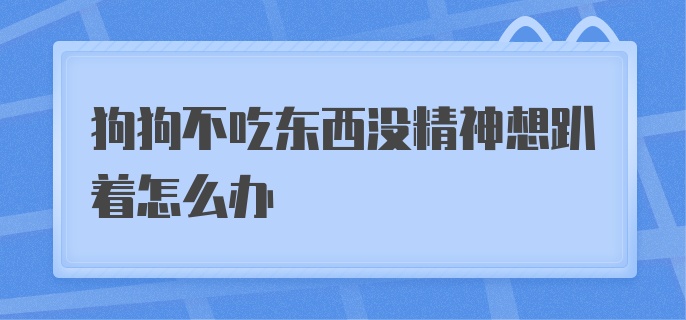 狗狗不吃东西没精神想趴着怎么办