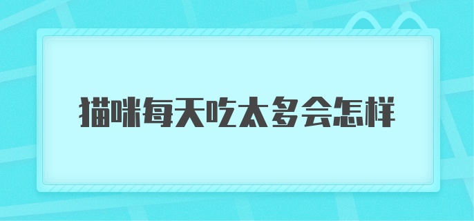 猫咪每天吃太多会怎样