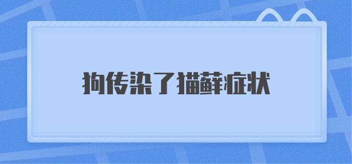 狗传染了猫藓症状