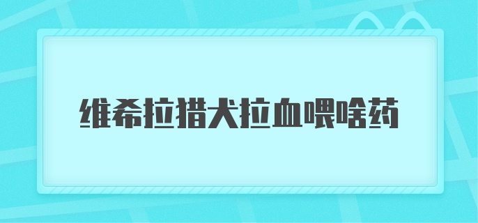 维希拉猎犬拉血喂啥药