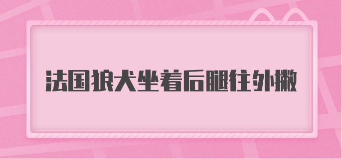 法国狼犬坐着后腿往外撇