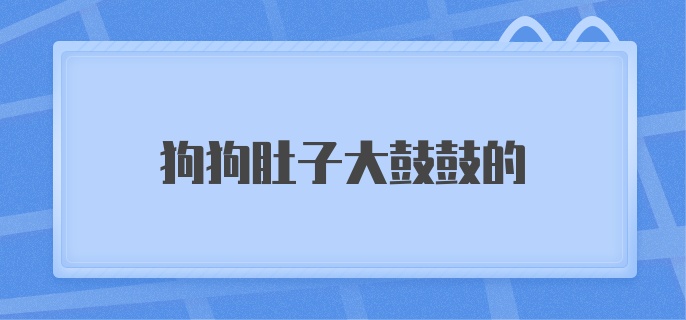 狗狗肚子大鼓鼓的