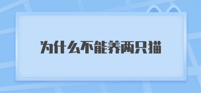 为什么不能养两只猫