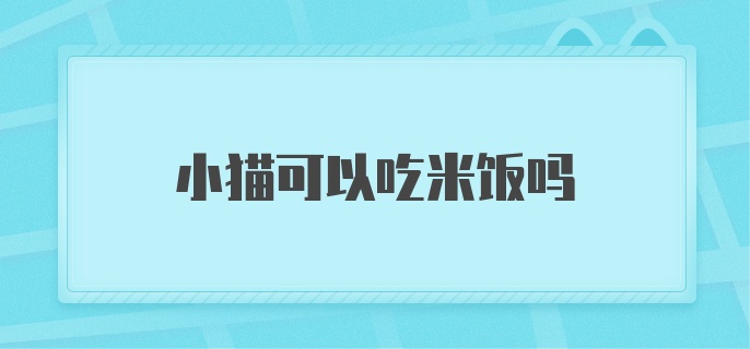 小猫可以吃米饭吗？