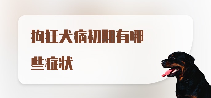 狗狂犬病初期有哪些症状