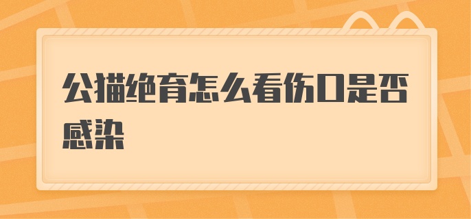 公猫绝育伤口怎么看伤口是否感染