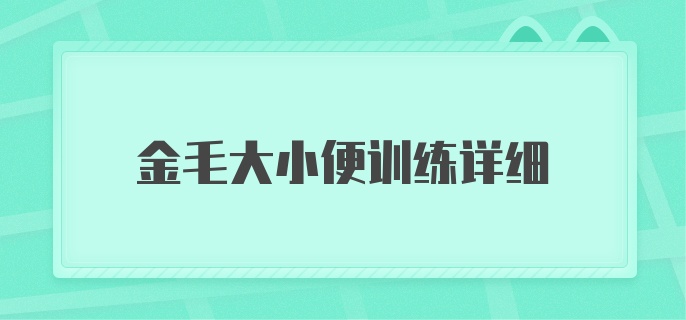 金毛大小便训练详细