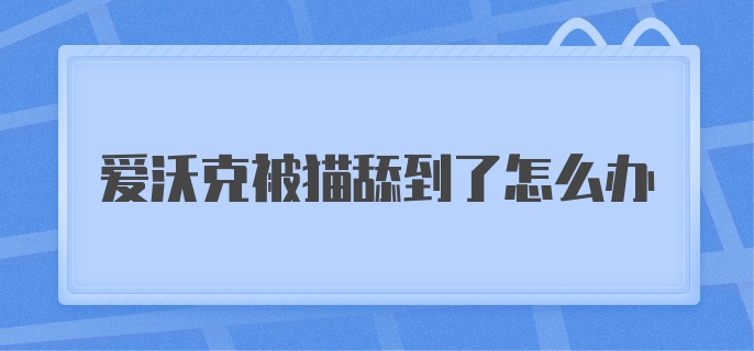 爱沃克被猫舔到了怎么办