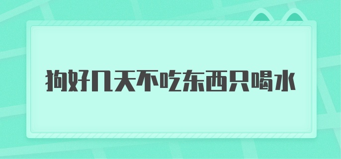 狗好几天不吃东西只喝水