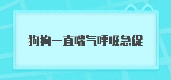 狗狗一直喘气呼吸急促