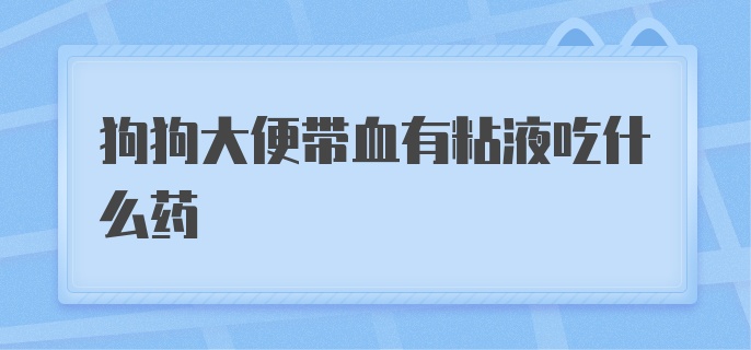 狗狗大便带血有粘液吃什么药