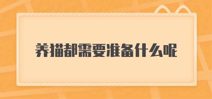 养猫都需要准备什么呢