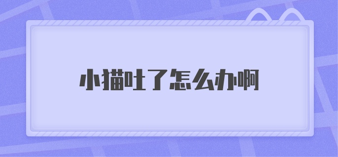 小猫吐了怎么办啊