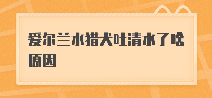 爱尔兰水猎犬吐清水了啥原因