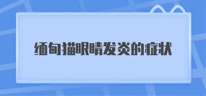 缅甸猫眼睛发炎的症状