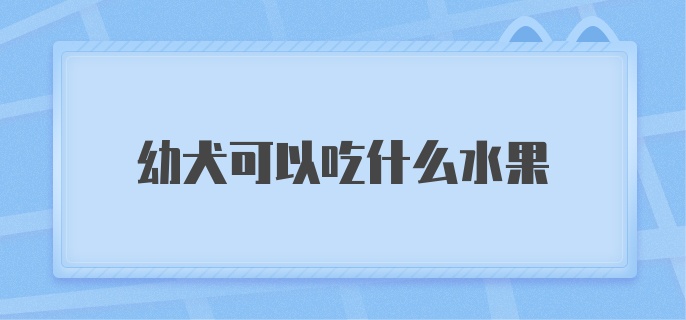 幼犬可以吃什么水果