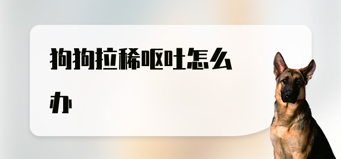 狗狗拉稀呕吐怎么办