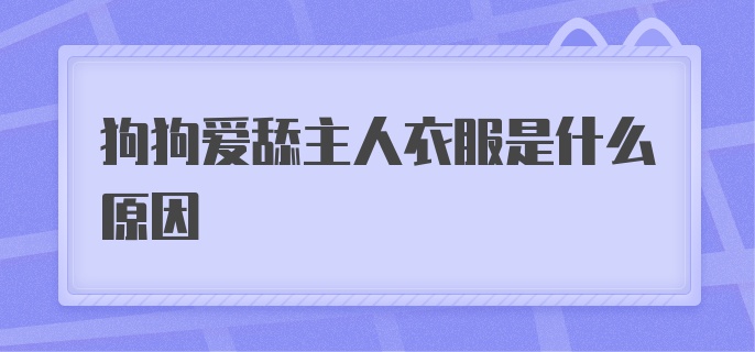 狗狗爱舔主人衣服是什么原因