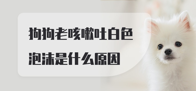 狗狗老咳嗽吐白色泡沫是什么原因