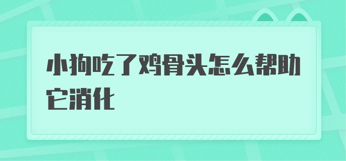 小狗吃了鸡骨头怎么办？