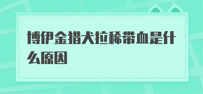 博伊金猎犬拉稀带血是什么原因